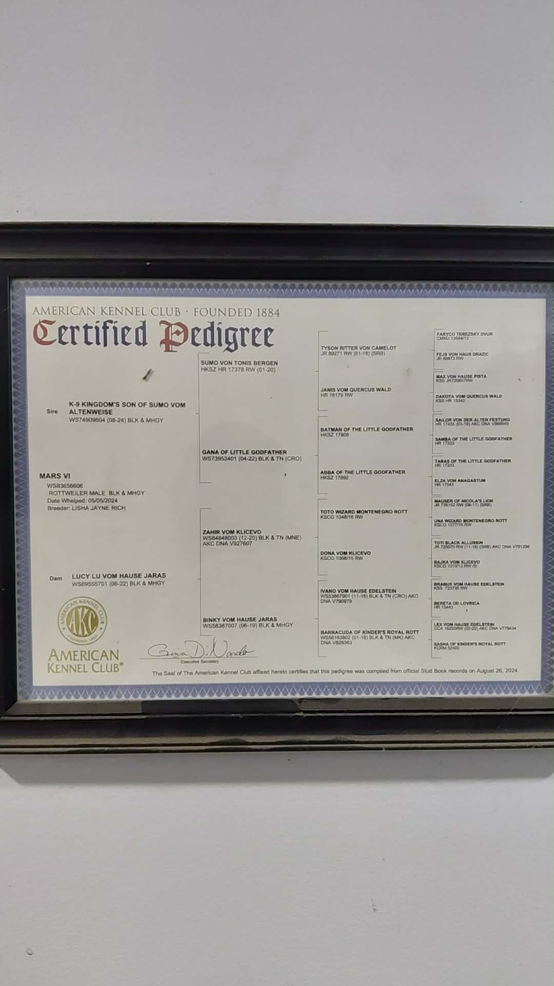 Rottweiler from HouseOfCerber.us: House Of Cerber