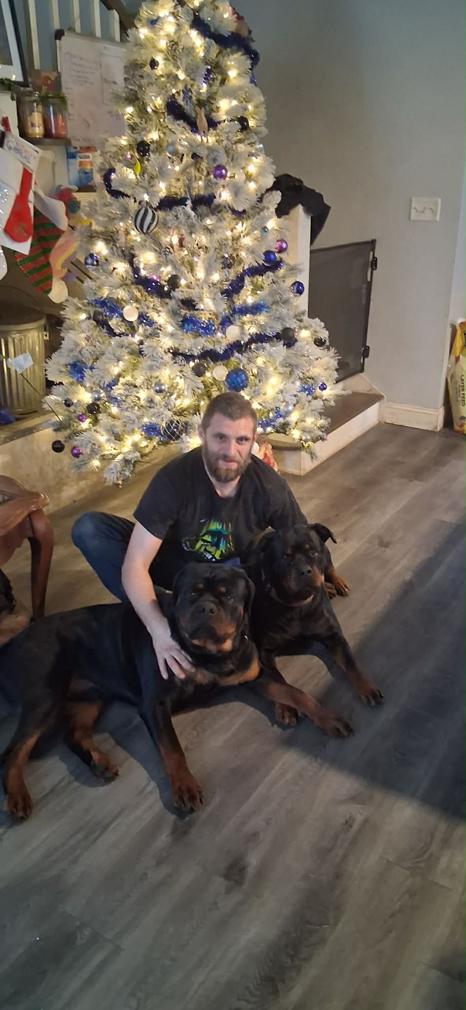 Rottweiler from HouseOfCerber.us: 659138053 2840932082958167 6686615159893670312 n